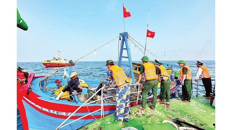 Quang Ngai province records positive progress in combating IUU fishing